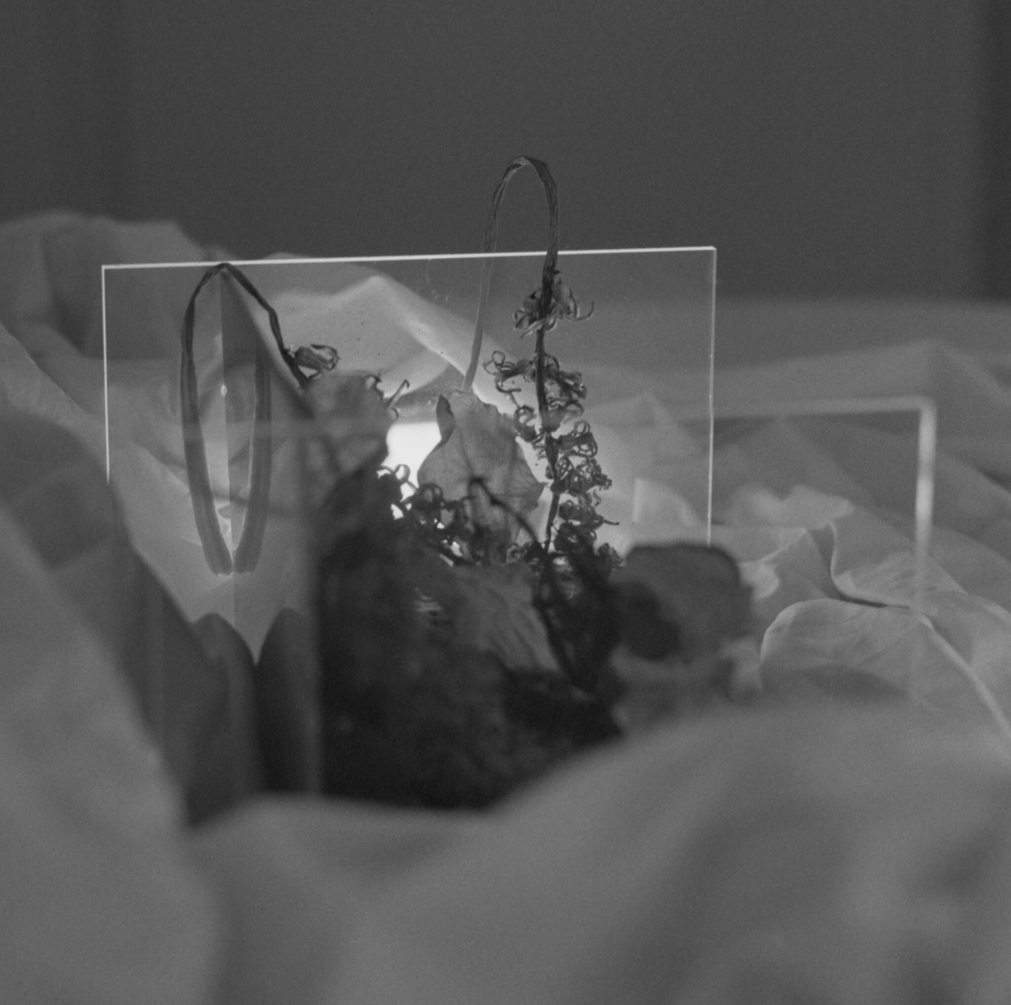 img20260619_13115309_0014
